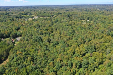 11.91 Acres of Buildable Land with Creek in Reidsville, NC - image 9