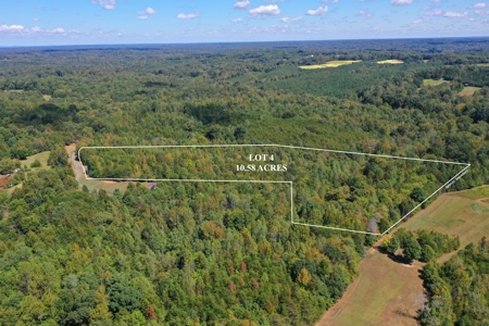 10.58 AC with Creek, Trails, and Seller Financing in Reidsville - image 6