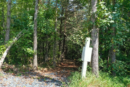 10.58 AC with Creek, Trails, and Seller Financing in Reidsville - image 9