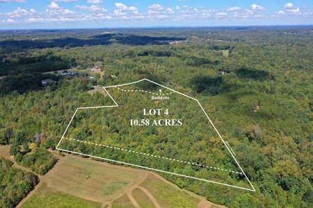 10.58 AC with Creek, Trails, and Seller Financing in Reidsville - image 4