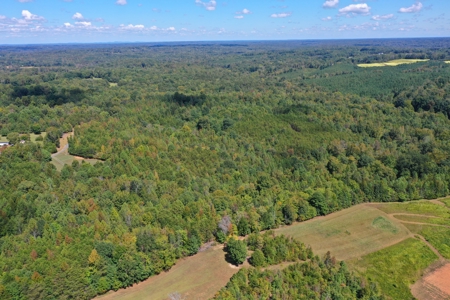 10.58 AC with Creek, Trails, and Seller Financing in Reidsville - image 5