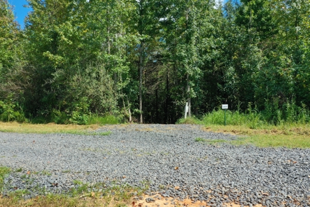 10.58 AC with Creek, Trails, and Seller Financing in Reidsville - image 8