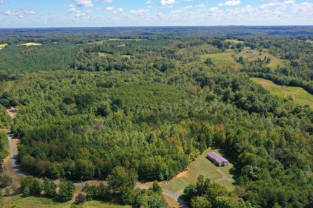 10.58 AC with Creek, Trails, and Seller Financing in Reidsville - image 7