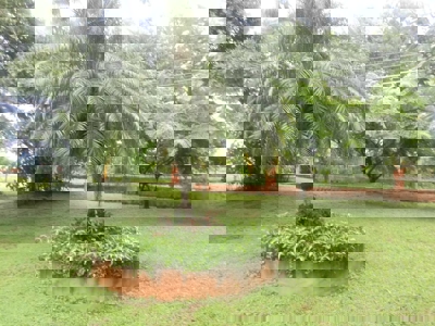 Spacious 5-Bedroom Villa with Private Pool near Coronado - image 16