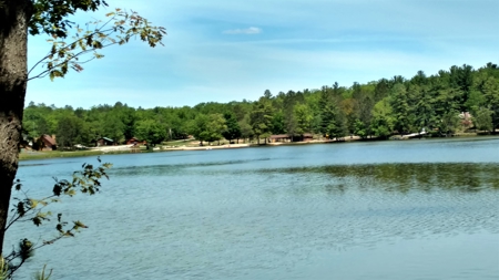 Half-Log Cabin with Loft on Canada Creek Ranch, Atlanta MI - image 46
