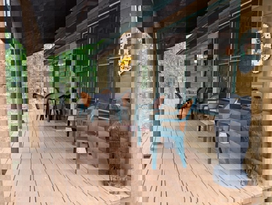 Half-Log Cabin with Loft on Canada Creek Ranch, Atlanta MI - image 26