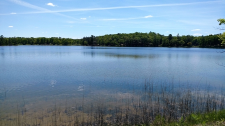 Half-Log Cabin with Loft on Canada Creek Ranch, Atlanta MI - image 47
