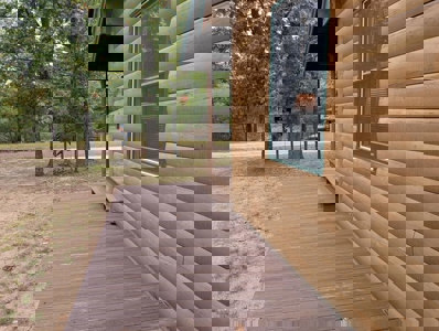 Half-Log Cabin with Loft on Canada Creek Ranch, Atlanta MI - image 24