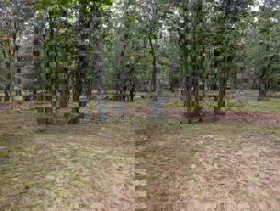 Half-Log Cabin with Loft on Canada Creek Ranch, Atlanta MI - image 30