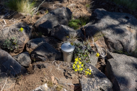 Central Oregon Coyote Butte Homestead - image 9