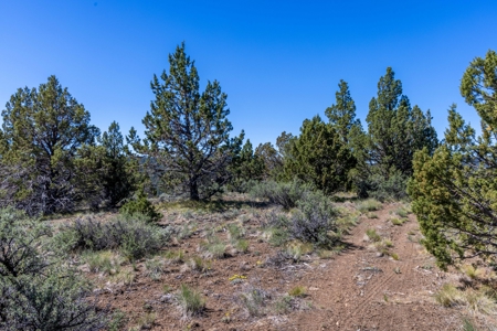 Central Oregon Coyote Butte Homestead - image 8
