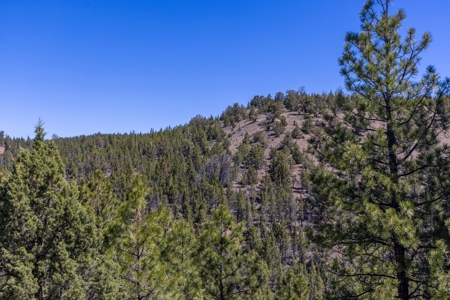 Central Oregon Coyote Butte Homestead - image 10