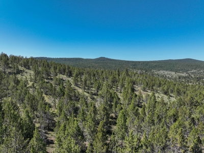 Central Oregon Coyote Butte Homestead - image 23