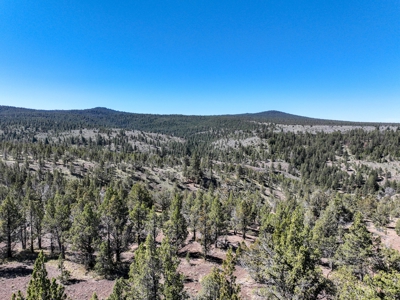 Central Oregon Coyote Butte Homestead - image 26