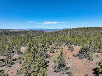Central Oregon Coyote Butte Homestead - image 24
