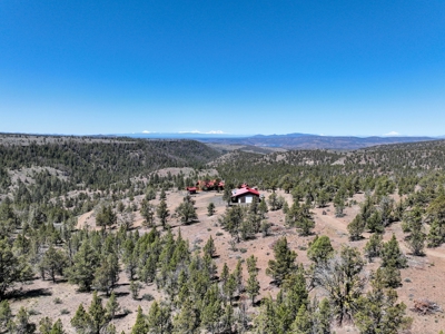 Central Oregon Coyote Butte Homestead - image 33