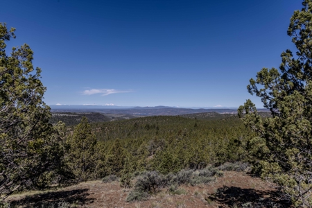Central Oregon Coyote Butte Homestead - image 6