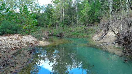 Acreage for Sale in Bunker, Missouri - image 5