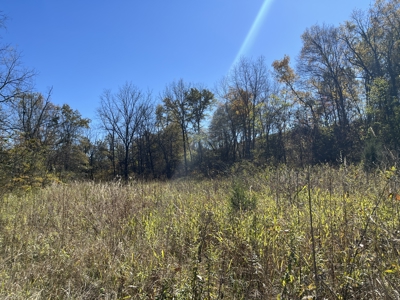 Acreage for Sale in Bunker, Missouri - image 15