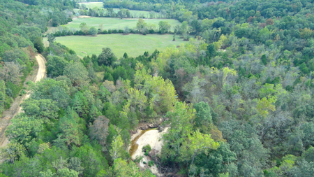 Acreage for Sale in Bunker, Missouri - image 3