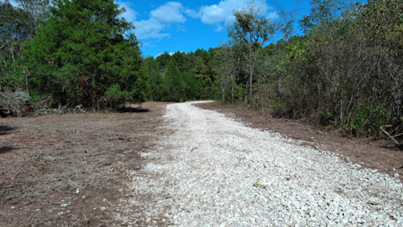 Acreage for Sale in Bunker, Missouri - image 11