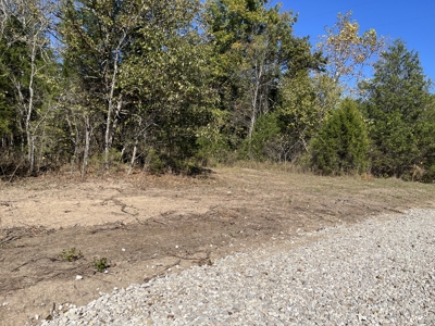 Acreage for Sale in Bunker, Missouri - image 16