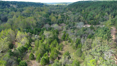 Acreage for Sale in Bunker, Missouri - image 10