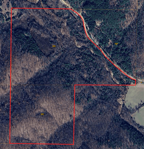 Acreage for Sale in Bunker, Missouri - image 1