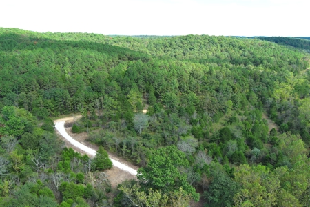 Acreage for Sale in Bunker, Missouri - image 7