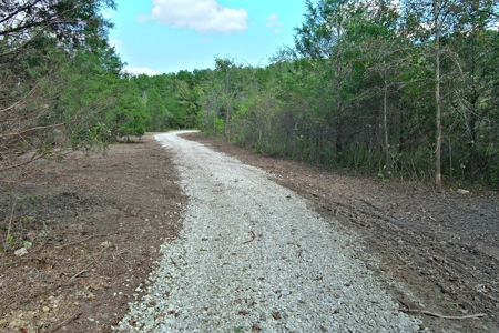 Acreage for Sale in Bunker, Missouri - image 12