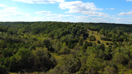 Acreage for Sale in Bunker, Missouri - image 2