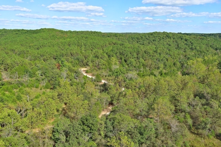 Acreage for Sale in Bunker, Missouri - image 4