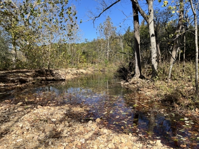 Acreage for Sale in Bunker, Missouri - image 14