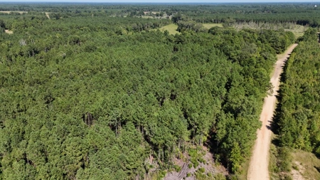 Hunting & Timberland For Sale in Union Parish-Traylor Place - image 2