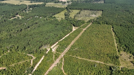 Hunting & Timberland For Sale in Union Parish-Traylor Place - image 13