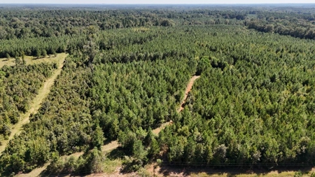 Hunting & Timberland For Sale in Union Parish-Traylor Place - image 4