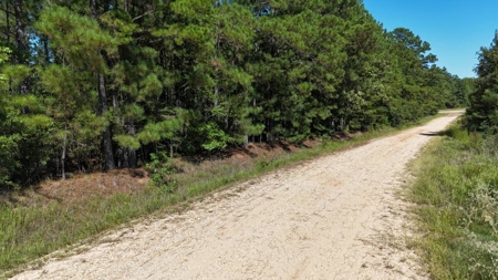 Hunting & Timberland For Sale in Union Parish-Traylor Place - image 16
