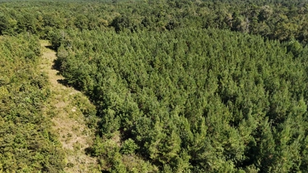 Hunting & Timberland For Sale in Union Parish-Traylor Place - image 12