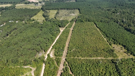 Hunting & Timberland For Sale in Union Parish-Traylor Place - image 14
