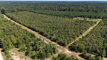 Hunting & Timberland For Sale in Union Parish-Traylor Place - image 3
