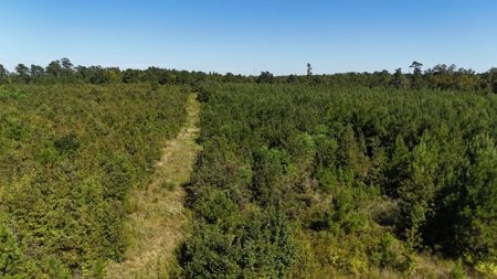 Hunting & Timberland For Sale in Union Parish-Traylor Place - image 11