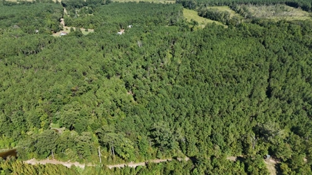Hunting & Timberland For Sale in Union Parish-Traylor Place - image 15
