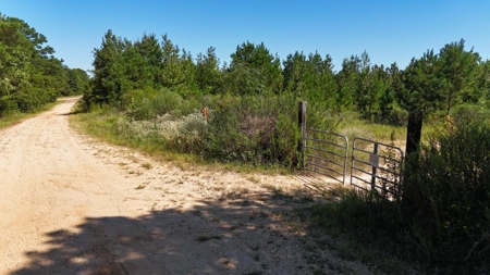 Hunting & Timberland For Sale in Union Parish-Traylor Place - image 7