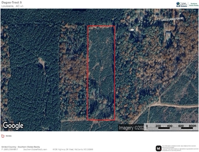 Small Hunting Tract for Sale in Marion, LA – Mclemore Tract - image 9