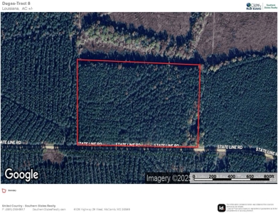 South Arkansas Timber Tract For Sale - Stateline Tract - image 1
