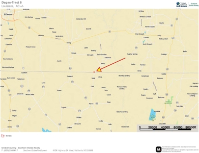 South Arkansas Timber Tract For Sale - Stateline Tract - image 3
