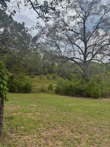 Investment Opportunity in Independance County AR - image 6