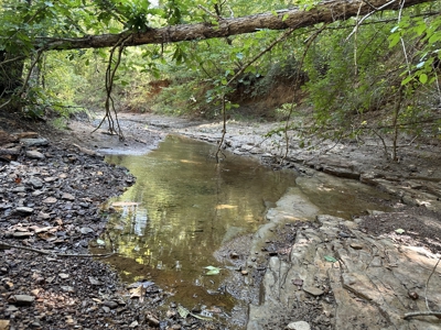 East Texas Hunting/Recreational/Timber Tract For Sale - image 14