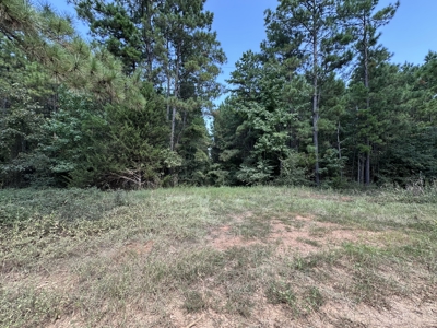 East Texas Hunting/Recreational/Timber Tract For Sale - image 27