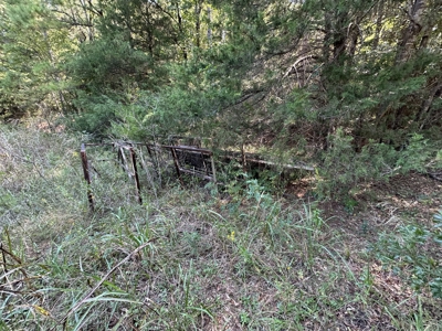 East Texas Hunting/Recreational/Timber Tract For Sale - image 9